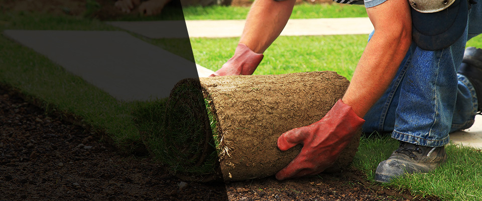 Clatskanie Landscapers